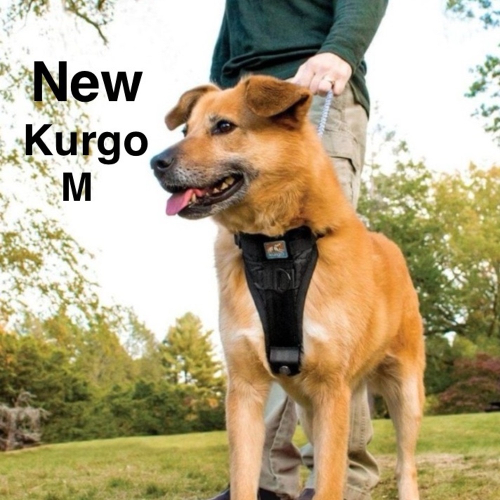 New Kurgo Enhanced Strength Tru-Fit Car Harness tag removed Size M ⭐️⭐️⭐